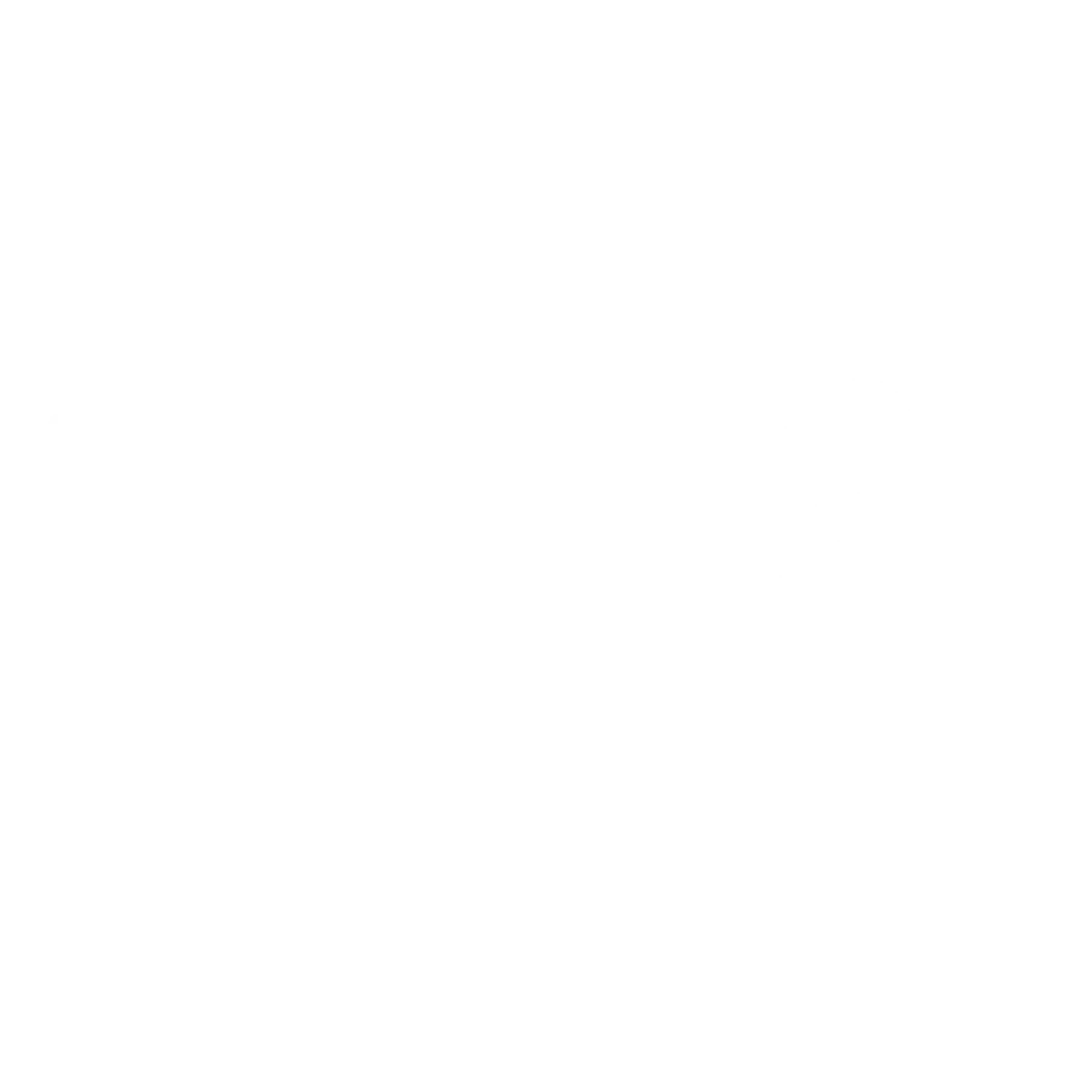 MP4000S